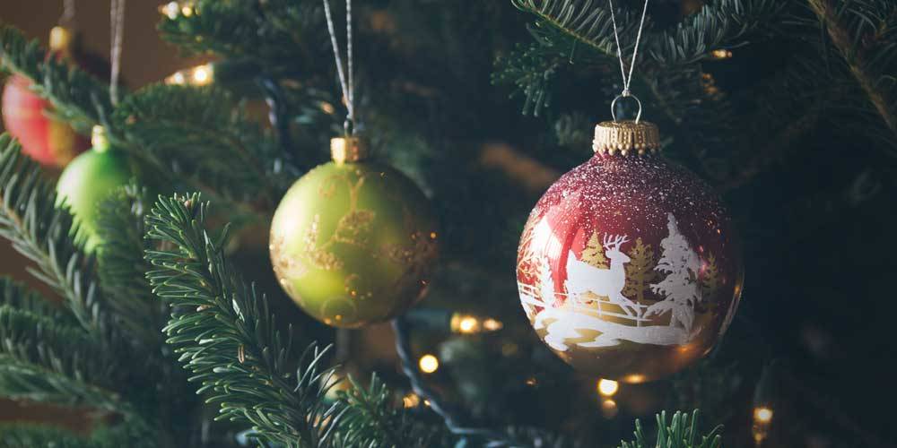 How to prevent the presence of insects in your Christmas tree