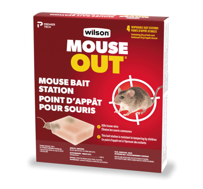 What to Do When Your Mouse Bait Is Repeatedly Stolen