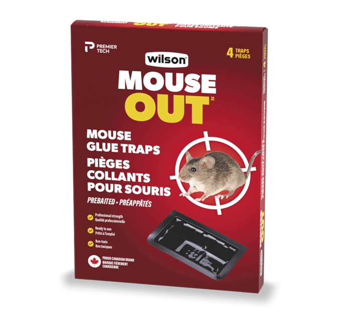 Piège à souris Colle Pièges à souris pour rats Tableaux collants