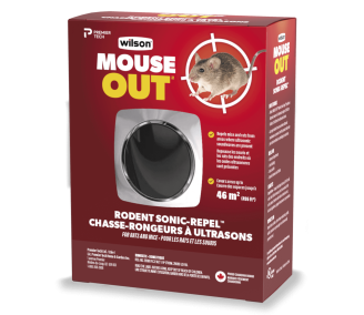 Installer un piège à souris qui les capture vivantes 