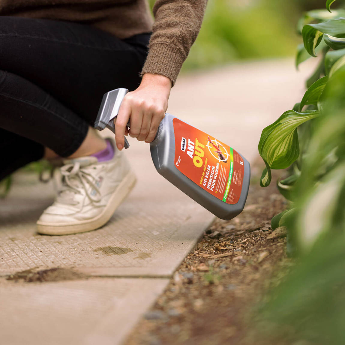 Get Rid Of Ant Invasions Easily For Up To 3 Months With Wilson Control Gel