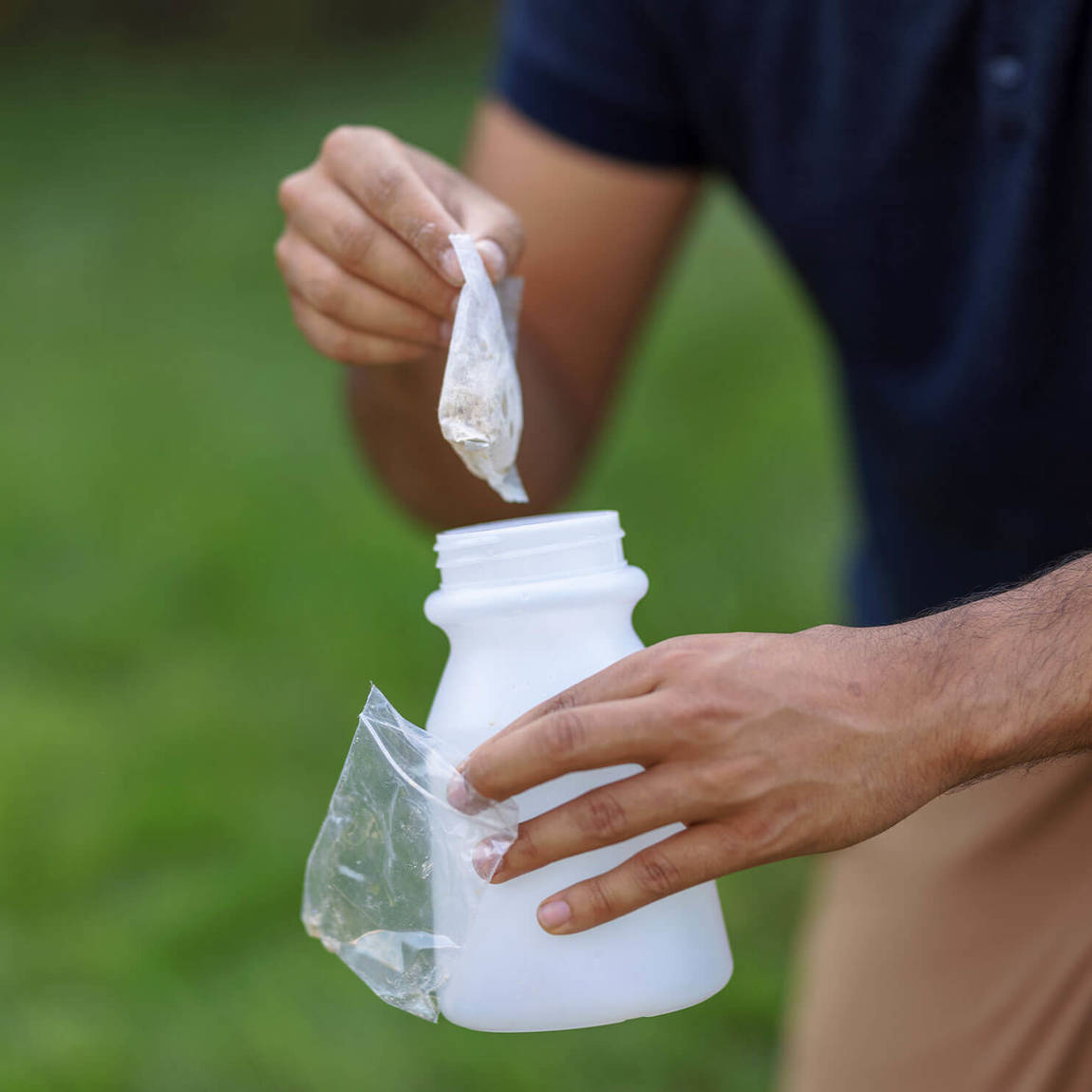 Nématodes contre les larves de tipules et thrips - DCM