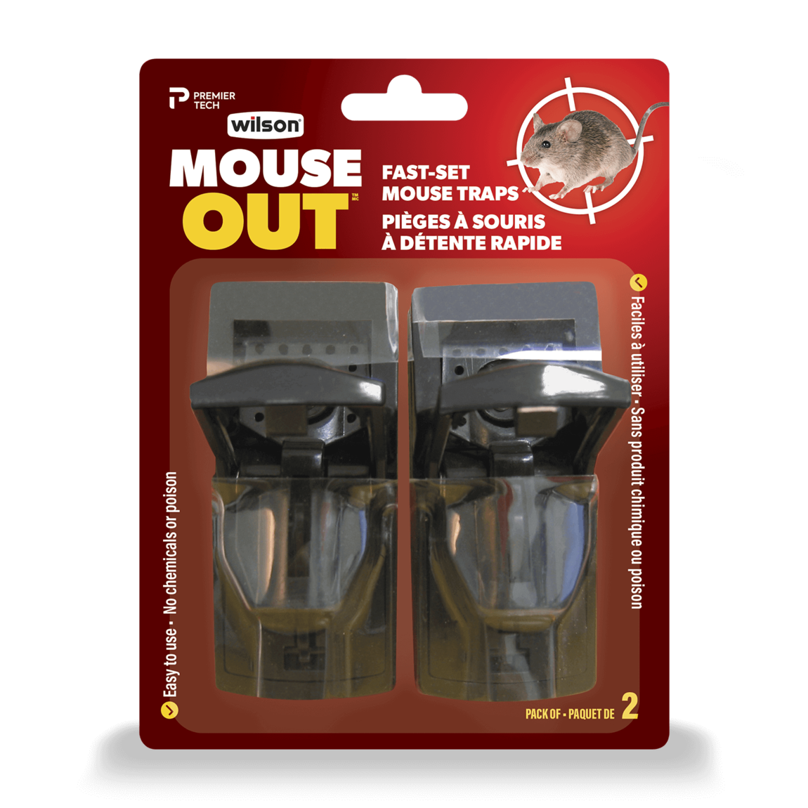 The best *quick & easy* Mouse Trap 