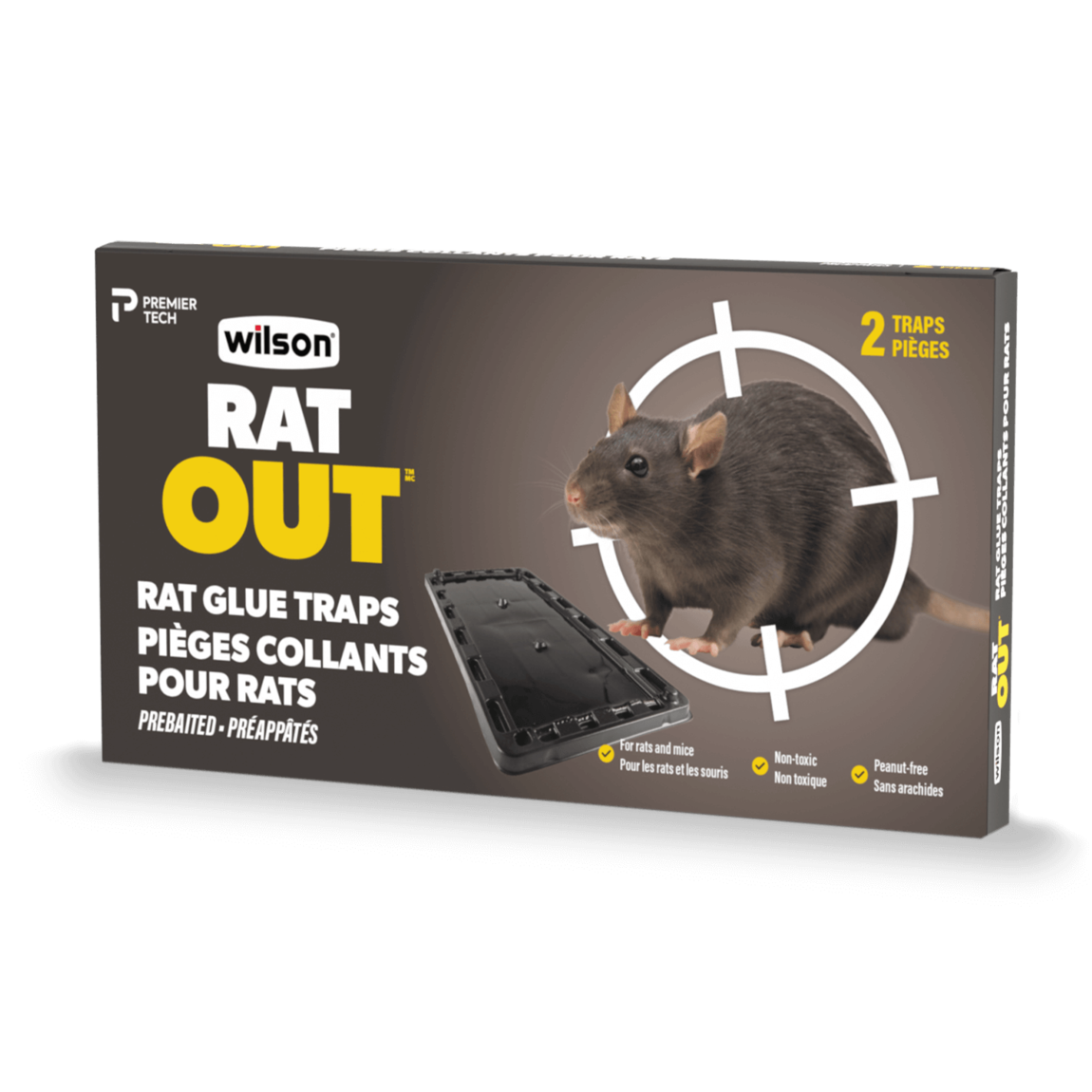 rat escaped glue trap