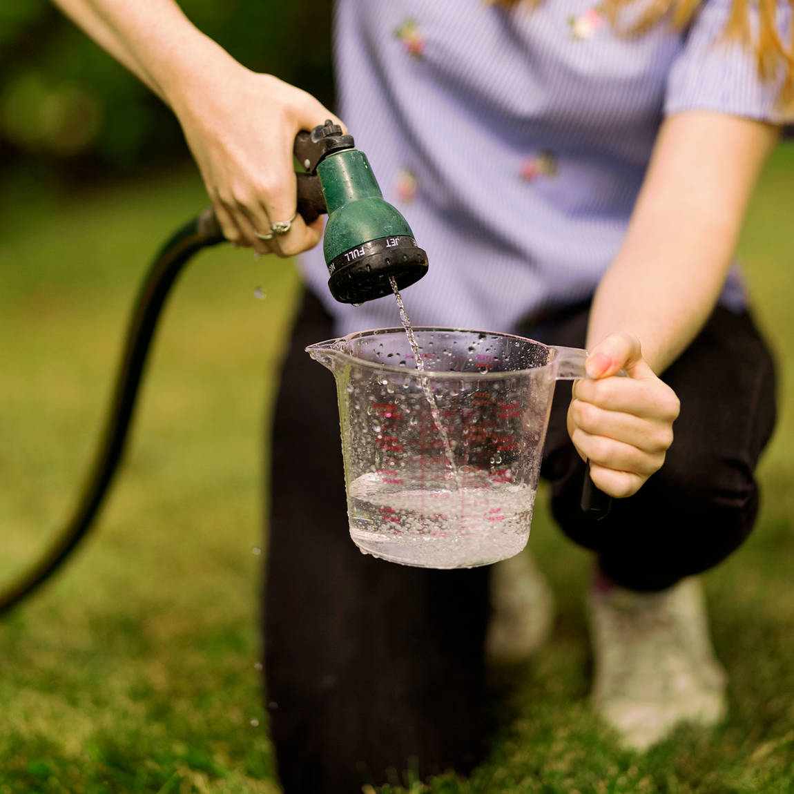 Wipe Out Wild Weed and Grass with Wilson Total Killer Spray