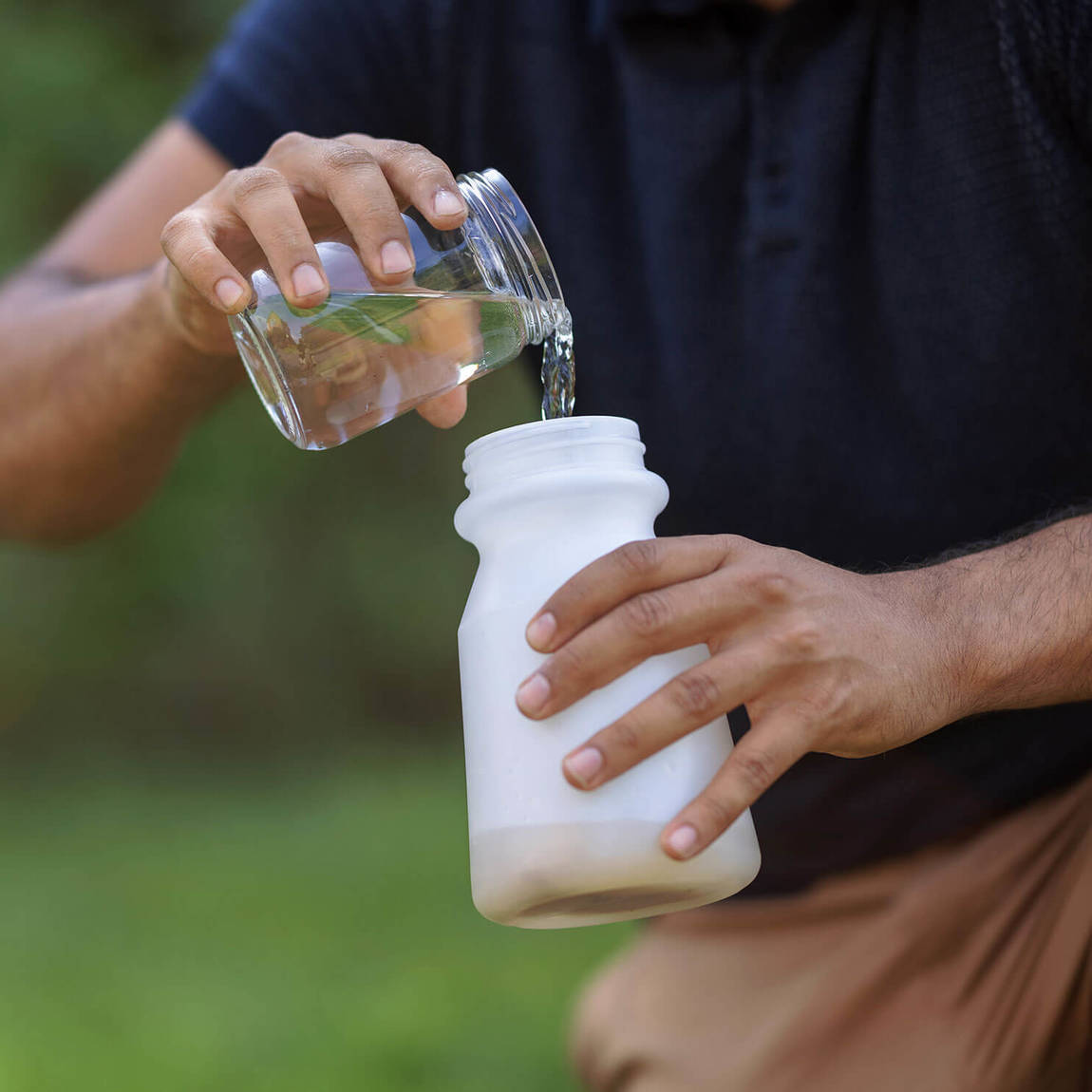 Nématodes anti fourmis