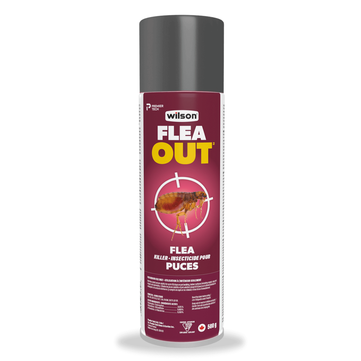 Best best sale flea killer