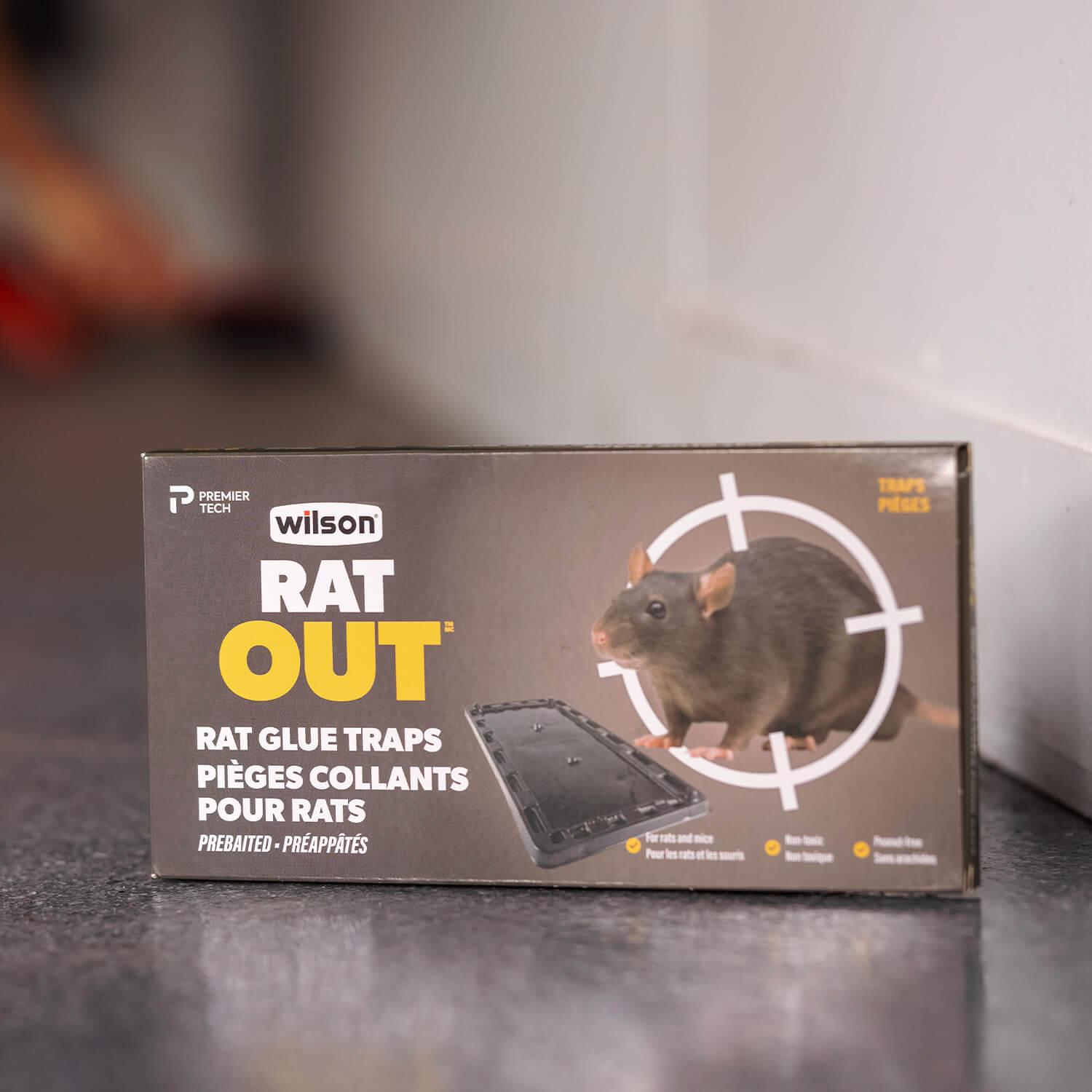 Get Rid of Rodents In a Flash with Wilson's Fast Rat Trap